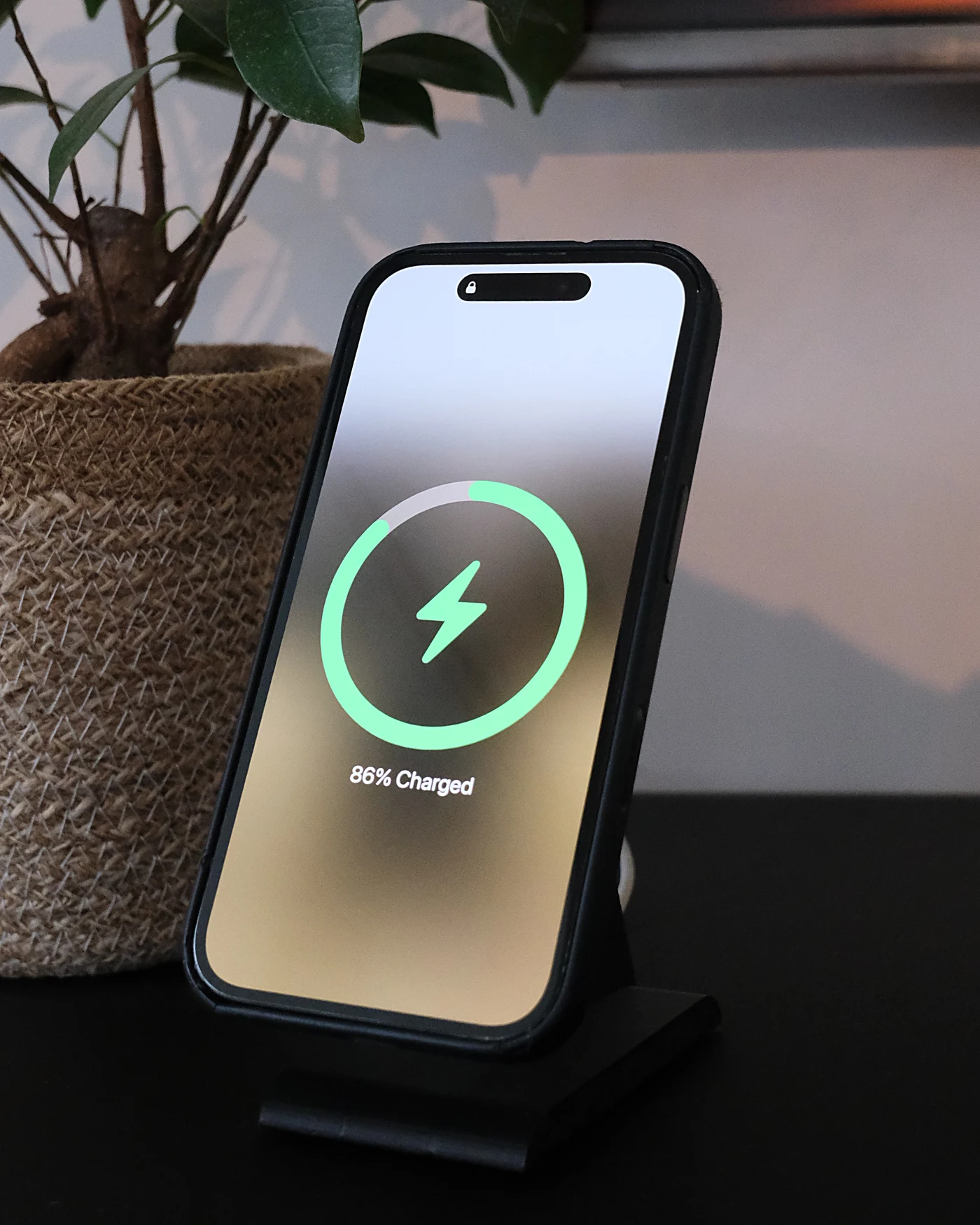 iPhone lädt auf dem HPER-Ständer, neben einer Pflanze